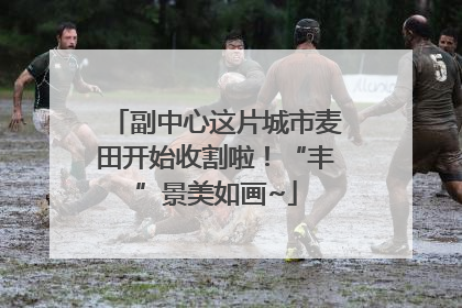副中心这片城市麦田开始收割啦！“丰”景美如画~