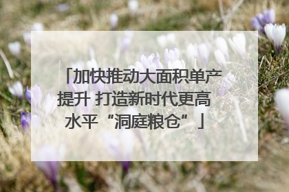 加快推动大面积单产提升 打造新时代更高水平“洞庭粮仓”