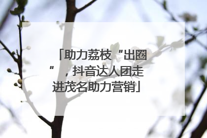 助力荔枝“出圈”，抖音达人团走进茂名助力营销