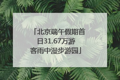北京端午假期首日31.67万游客雨中漫步游园