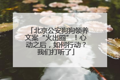北京公安狗狗领养文案“火出圈”！心动之后，如何行动？我们打听了