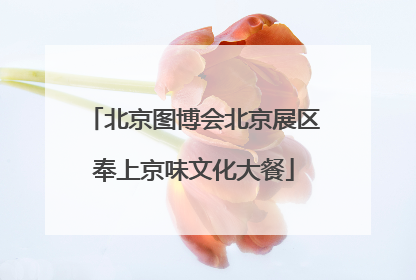 北京图博会北京展区奉上京味文化大餐