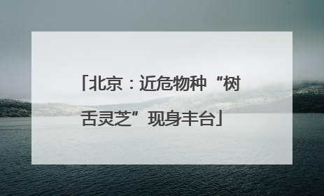 北京：近危物种“树舌灵芝”现身丰台
