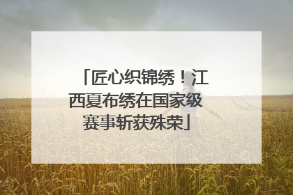 匠心织锦绣！江西夏布绣在国家级赛事斩获殊荣
