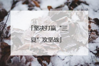 坚决打赢“三夏”攻坚战