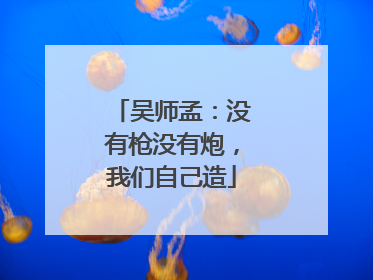 吴师孟：没有枪没有炮，我们自己造