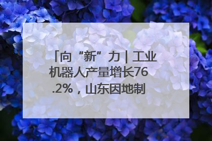 向“新”力｜工业机器人产量增长76.2%，山东因地制宜发展新质生产力