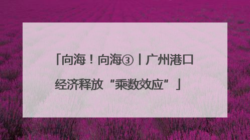 向海！向海③丨广州港口经济释放“乘数效应”
