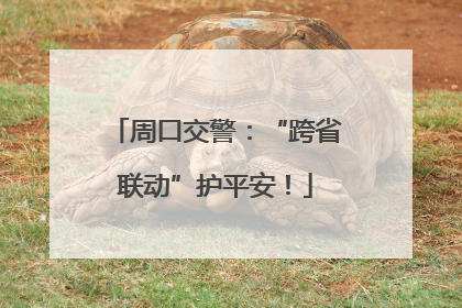周口交警：“跨省联动”护平安！