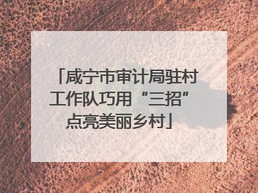 咸宁市审计局驻村工作队巧用“三招”点亮美丽乡村