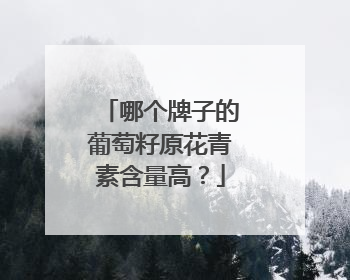 哪个牌子的葡萄籽原花青素含量高？