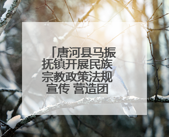 唐河县马振抚镇开展民族宗教政策法规宣传 营造团结和谐氛围