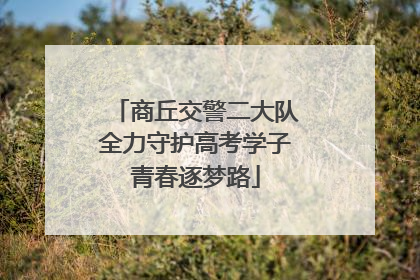 商丘交警二大队全力守护高考学子青春逐梦路