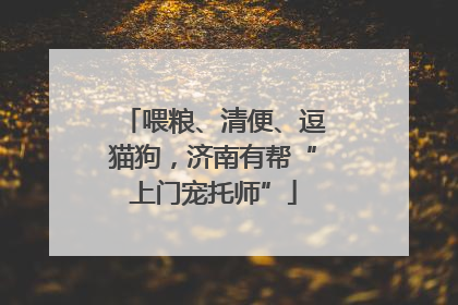 喂粮、清便、逗猫狗，济南有帮“上门宠托师”