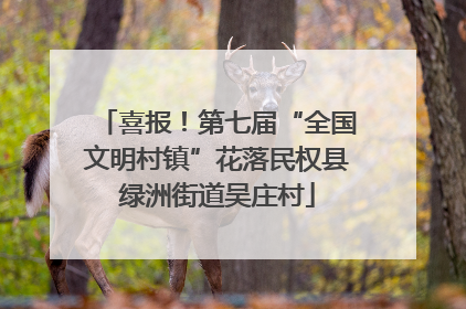 喜报！第七届“全国文明村镇”花落民权县绿洲街道吴庄村