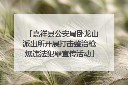 嘉祥县公安局卧龙山派出所开展打击整治枪爆违法犯罪宣传活动
