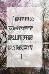 嘉祥县公安局老僧堂派出所开展反邪教宣传