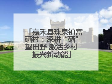 嘉禾县珠泉镇富硒村：深耕“硒”望田野 激活乡村振兴新动能