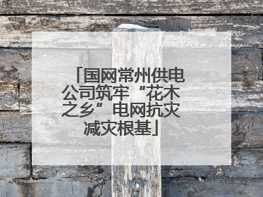国网常州供电公司筑牢“花木之乡”电网抗灾减灾根基
