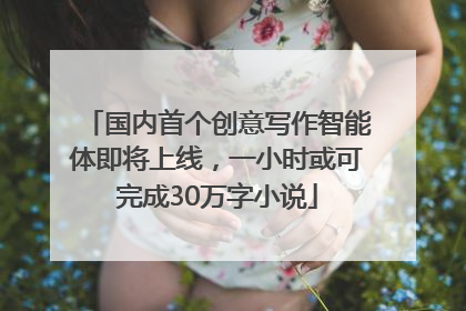 国内首个创意写作智能体即将上线，一小时或可完成30万字小说