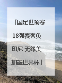 国足世预赛18强赛客负印尼 无缘美加墨世界杯