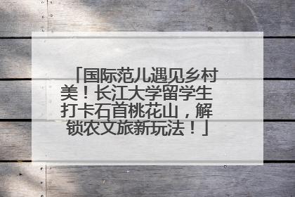 国际范儿遇见乡村美！长江大学留学生打卡石首桃花山，解锁农文旅新玩法！