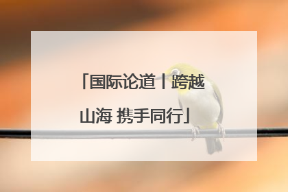 国际论道丨跨越山海 携手同行