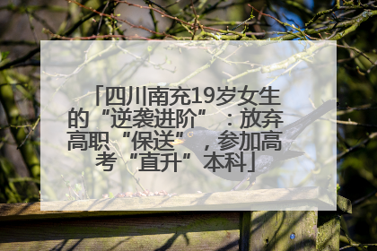 四川南充19岁女生的“逆袭进阶”：放弃高职“保送”，参加高考“直升”本科