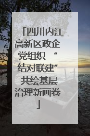 四川内江高新区政企党组织 “结对联建” 共绘基层治理新画卷