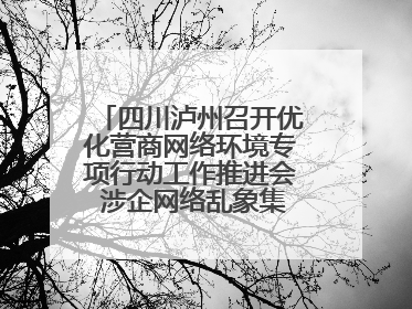 四川泸州召开优化营商网络环境专项行动工作推进会 涉企网络乱象集中整治初见成效