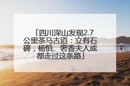 四川深山发现2.7公里茶马古道：立有石碑，杨慎、奢香夫人或都走过这条路