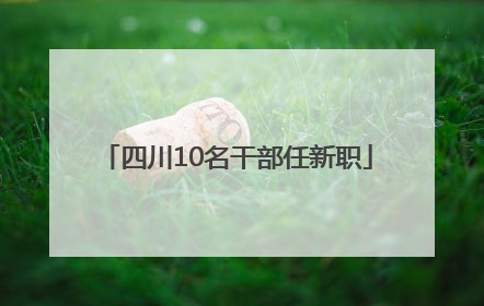 四川10名干部任新职