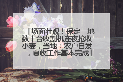 场面壮观！保定一地数十台收割机连夜抢收小麦，当地：农户自发，夏收工作基本完成