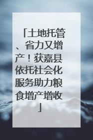 土地托管、省力又增产！获嘉县依托社会化服务助力粮食增产增收
