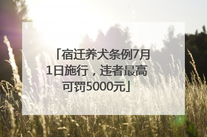 宿迁养犬条例7月1日施行，违者最高可罚5000元