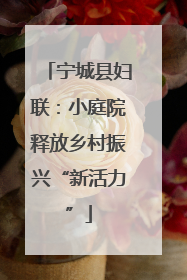 宁城县妇联：小庭院释放乡村振兴“新活力”