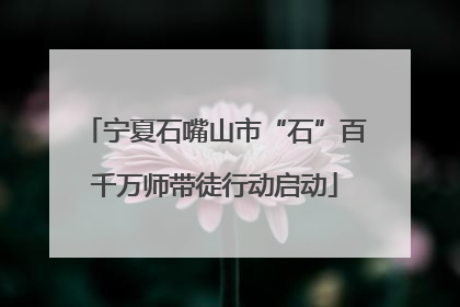 宁夏石嘴山市“石”百千万师带徒行动启动