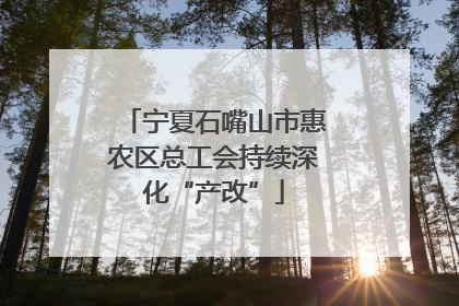 宁夏石嘴山市惠农区总工会持续深化“产改”