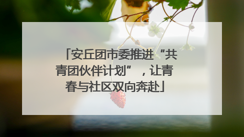 安丘团市委推进“共青团伙伴计划”，让青春与社区双向奔赴