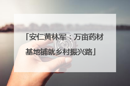 安仁黄林军：万亩药材基地铺就乡村振兴路