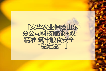 安华农业保险山东分公司科技赋能+双精准 筑牢粮食安全“稳定器”