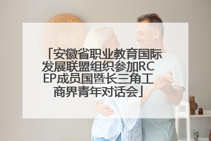 安徽省职业教育国际发展联盟组织参加RCEP成员国暨长三角工商界青年对话会