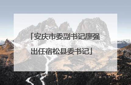 安庆市委副书记廖强出任宿松县委书记