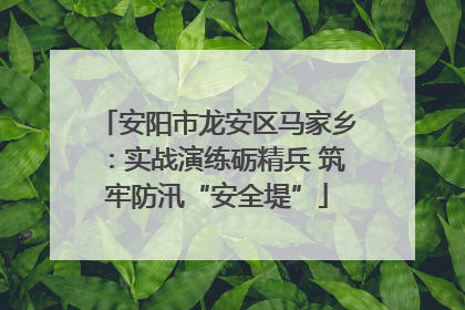 安阳市龙安区马家乡：实战演练砺精兵 筑牢防汛“安全堤”