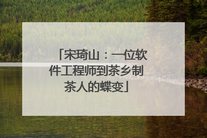 宋琦山：一位软件工程师到茶乡制茶人的蝶变