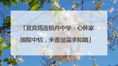 宜宾筠连镇舟中学：心怀家国粽中情，米香漫溢求知路