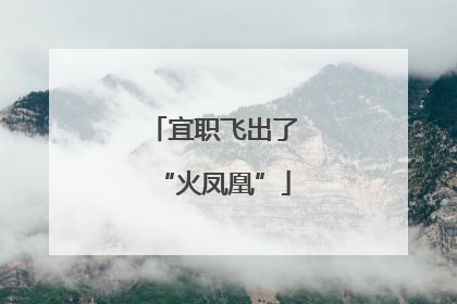 宜职飞出了“火凤凰”