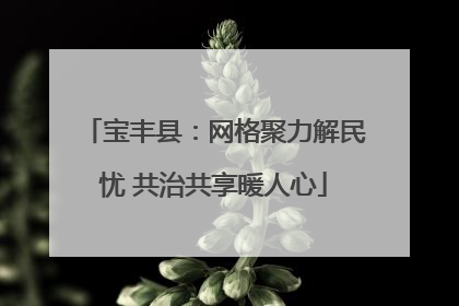 宝丰县：网格聚力解民忧 共治共享暖人心