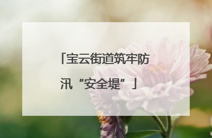 宝云街道筑牢防汛“安全堤”