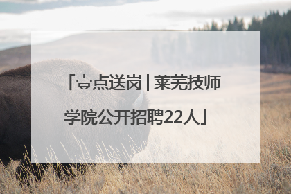 壹点送岗│莱芜技师学院公开招聘22人